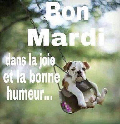 Bon mardi Mardi Humour, Cite Sources, Bon Mardi, Citation Positive, Academic Writing, Good Night Quotes, Finding Peace, Words Of Encouragement, Good Morning