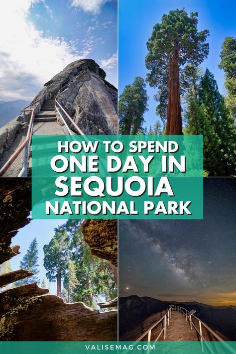 Sequoia National Park To Yosemite, Giant Forest Sequoia National Park, Sequoia National Park One Day Itinerary, Sequoia Car Camping, Yosemite National Park California, Visiting Sequoia National Park, Sequoia National Park Road Trip, West Coast National Parks, Things To Do In Sequoia National Park