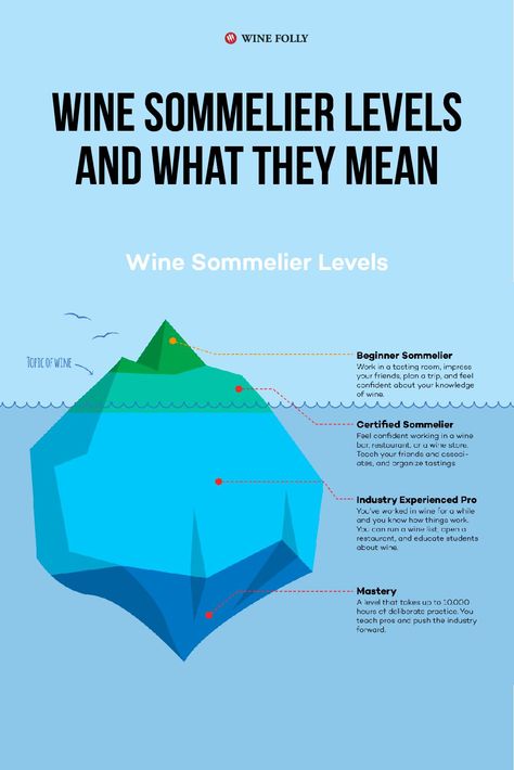 Taking your wine education to the next level? Know where to start. Here’s a breakdown of wine sommelier levels and what they really mean. Expensive Party, Growing Wine Grapes, Wine Etiquette, Types Of White Wine, Wine Basics, Wine Presents, Wine Facts, Wine Sommelier, Wine Taster