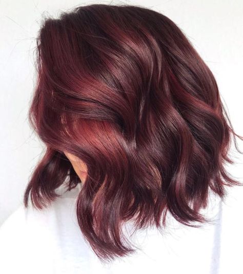 Chocolate Cherry Hair Color, Chocolate Cherry Hair, French Balayage, Cherry Cola Hair, Deep Red Hair, Cherry Hair Colors, Red Hair Inspo, Thick Wavy Hair, Cherry Hair