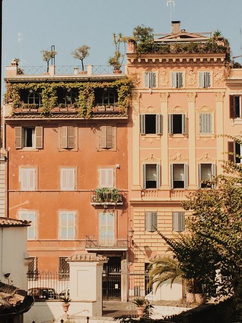 ROME | ITALY Rome Architecture, Rome Italy, Color Of The Year, Bookstore, Rome, Fendi, Italy, Boutique, House Styles