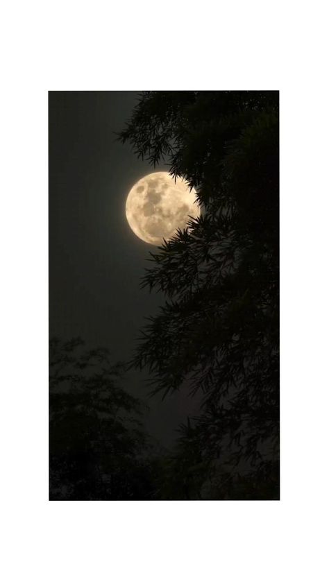 Moon Status, Rain Status, Smile Status, Abhishek Singh, Fb Status, Blue Moon Photography, Cute Statuses, Bad Girl Quotes, Alone Photography