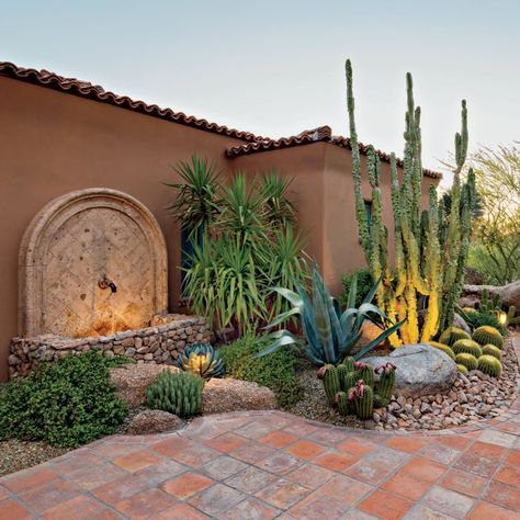 Botanical Beauty - Phoenix Home & Garden Phoenix Backyard, Arizona Backyard Landscaping, Desert Landscaping Backyard, Desert Landscape Design, Cactus Garden Landscaping, Desert Backyard, Arizona Backyard, Arizona Gardening, Arizona Landscape