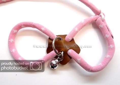 Squirrel Harness Diy, Diy Rat Accessories, Rat Harness, Pet Rat Hammock, Hamster Leash, Pet Rat Supplies, Hamster Cage, Mouse Rat, Sugar Glider