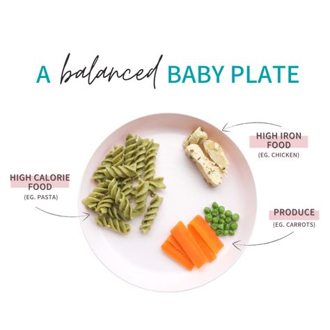 How To Cut Food For Baby Led Weaning, Lunch Ideas For Babies, Pasta For Babies, Foods For Baby Led Weaning, Baby First Finger Foods, Daycare Lunch Ideas, First Foods For Baby, Baby Meal Plan, Foods For Baby