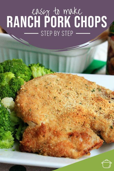 Ranch Pork Chops Baked, Pork Chops Baked, Breaded Pork Chops Baked, Cheese Pork Chops, Best Pork Chop Recipe, Easy Comfort Food Dinners, Barbecue Pork Ribs, Ranch Pork Chops, Breaded Pork Chops