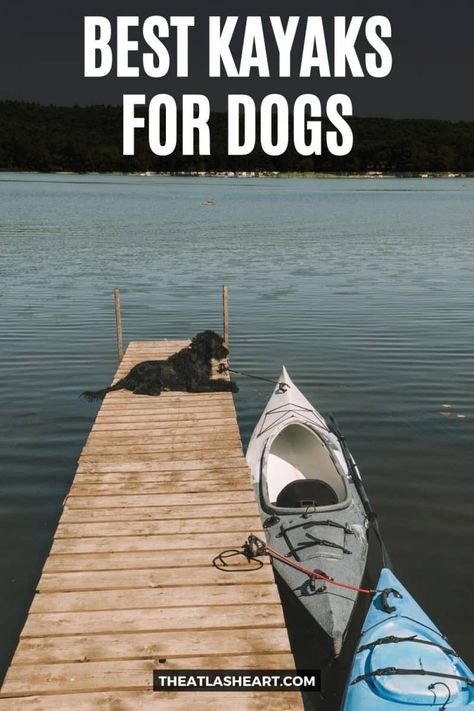 A black dog sits on a dock on a lake, withe two kayaks tethered beside it, with the text overlay, "Best Kayaks for Dogs." Kayak With Dogs, Dog Kayaking, Dog Kayak, Kayak Dog, Kayaking Accessories, Kayaking With Kids, Kayaking With Dogs, Kayak For Beginners, Kayaking Outfit