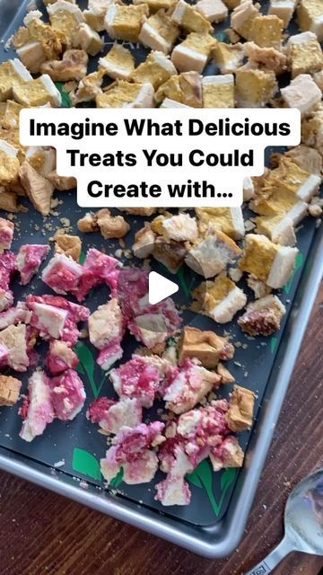 Brenda K on Instagram: "Calling all Cooks/Bakers/Recipe Creators 👩‍🍳🥧🥧👨‍🍳 Imagine What You Could Do with Freeze Dried Pie! 🤔 I ended up with leftover pie after the holidays, so what did I do with it? You already know :-) I freeze dried it, of course. I chopped the leftover pie into dices, and then freeze dried it. When it was finished, I blended it into freeze dried pie powder. Freeze Drying removes the moisture but not the flavor. Adding Freeze Dried ingredients to recipes is magical—because it packs a flavor punch without having to adjust for added liquids. It’s been fun creating new and delicious recipes using this specialty ingredient. We’ve added it to plain Greek yogurt—overnight oats, chia seed puddings, smoothies and of course ice cream. Freeze dried pie makes the most delic Freeze Dried Cheesecake, Greek Yogurt Overnight Oats, Freeze Dried Food Storage, Leftover Pie, Oatmeal Cream Pies, Dried Food, Freeze Drying Food, Chia Seed Pudding, Freeze Dried