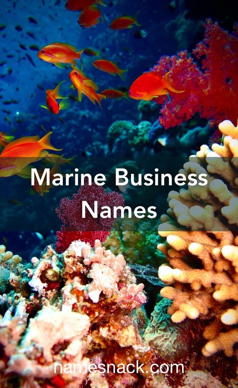 20 refreshing name ideas for your marine business. Names For Companies, Yin Yang Images, Nautical Logo, Marines Logo, Fish Icon, Sea Green Color, Restaurant Names, Beach Cafe, Fish Farming