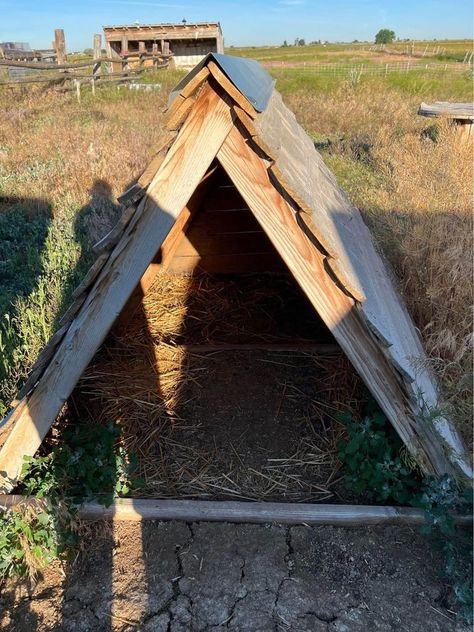 Simple A-frame shelter Goat Shelter Ideas Winter, Sheep Shelter, Witchy Ideas, Chicken Shelter, Sheep House, Goat Shelter, Goat House, Raising Farm Animals, Canopy Shelter