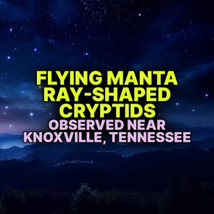 Phantoms and Monsters: Pulse of the Paranormal Giant Manta, Paranormal Experience, The Paranormal, Youtube Playlist, Paranormal Investigation, Knoxville Tennessee, Manta Ray, Streaming Tv, Dark Night