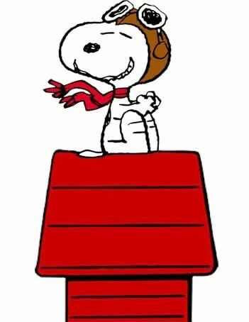 Red Baron Snoopy, Goodnight Snoopy, Snoopy Tattoo, Snoopy Dog House, Garfield Cartoon, Woodstock Snoopy, Snoopy Birthday, Woodstock Peanuts, Snoopy Comics