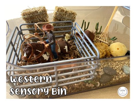 Howdy partner! Create a realistic looking Western Sensory Bin using interesting and hands-on materials. This sensory bin allows young learners to use their imagination and pretend to be a cowboy in the west! This activity can also be used to teach math concepts like counting cowboy hats. Cowboy Sensory Bin, Western Sensory Bin, Cowboy Chili, Sensory Boxes, Sensory Bottles, Sensory Table, Summer Camps, Sensory Bin, Math Concepts