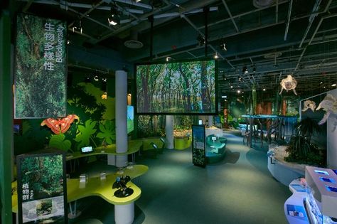 Plant Exhibition, Art Science Museum, Natural Science Museum, Science Gallery, Follow The Yellow Brick Road, Exhibition Ideas, The Yellow Brick Road, Museum Interior, Interactive Exhibition