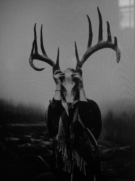 Creepy Horror, Horror Tattoo, Style Gothic, Deer Skulls, Witch Aesthetic, A Deer, Creepy Art, Animal Skulls, Dark Photography