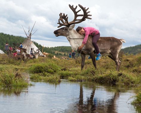 Pictures Of Adorable Kids With Their Reindeer In The Remote Taiga Mountains Of Mongolia Mongolian Culture, Christmas Art For Kids, Deer Family, 23rd Birthday, Scandinavian Folk Art, The Mystic, Ancient Cultures, World Cultures, People Of The World