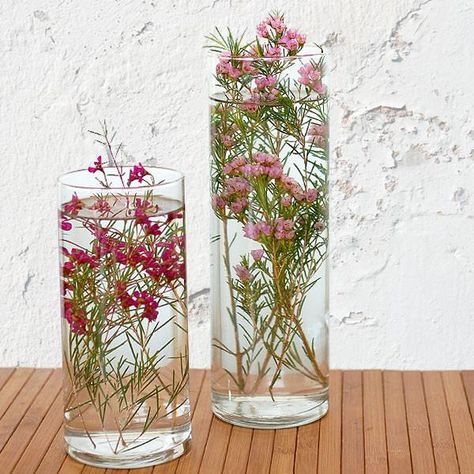 Unity Candle Alternatives, Floating Candle Centerpieces Wedding, Unity Candle Holder, Glass Cylinder Vases, Candle Wedding Centerpieces, Floating Flowers, Glass Cylinder, Flower Arrangements Diy, Vase Arrangements