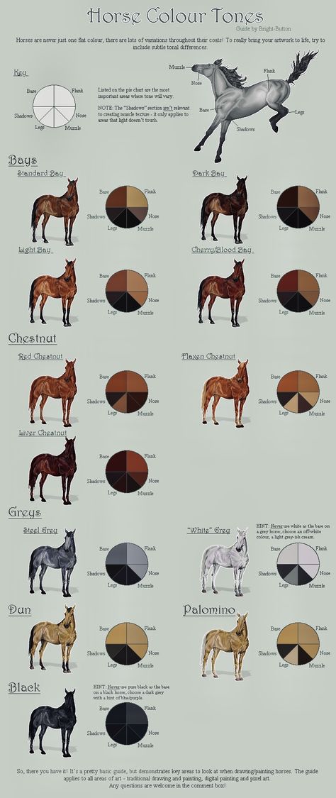 Pixel Horse, Horse Color Chart, Horse Tutorial, Painting Horses, Different Horse Breeds, Horse Markings, Horse Coat Colors, Horse Facts, Horse Info