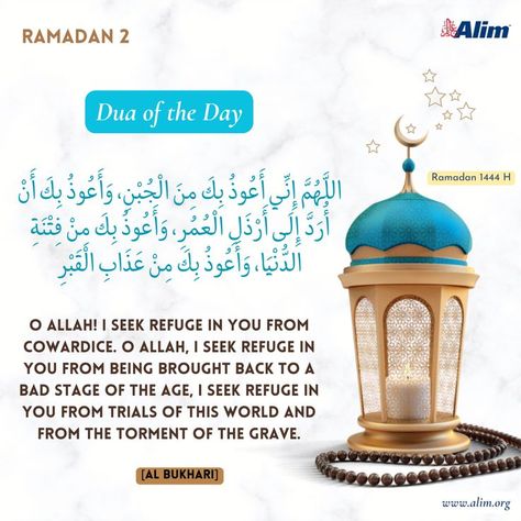 Ramadan 2 Dua of the Day O Allah! I seek refuge in You from cowardice. O Allah, I seek refuge in You from being brought back to a bad stage of the age, I seek refuge in You from trials of this world and from the torment of the grave. [Al Bukhari] #qurandigital #quranquotes #islamicquote #islamisthewayoflife #quranlearning #qurankareem #muslim #Ramadan2023 #TheGiftOfQuran #RoadToRamadhan #Ramadan1444 #RamadanMubarak #ramadan #ramadannights #Dua #ramadanvibes #blessedramadan #Duaoftheday Ramadan Day 2, Month Of Ramadan, Ramadan Day, Ramadan Mubarak, Quran Verses, Quran Quotes, Islamic Quotes, Ramadan, Quran