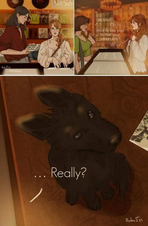 Lils and Siri <3 Lily And Sirius, The Marauders Fan Art, Remus And Sirius, Marauders Fan Art, Gay Harry Potter, Harry Potter Feels, Harry Potter Artwork, Harry Potter Comics, Harry Potter Ships