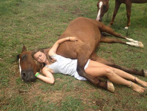 Spend some good time with your horse Funny Horse Pictures, Girl Sleeping, All About Horses, Funny Horse, Horse Crazy, Cute Horses, Horse Photos, Horse Pictures, Horse Love