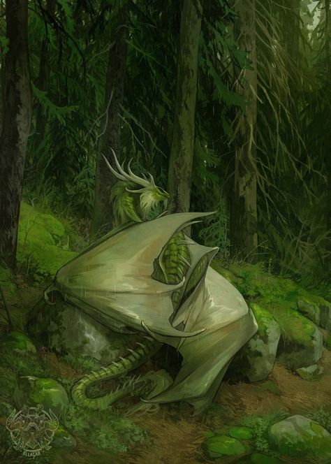 Dragon Rider Aesthetic, Rider Aesthetic, Queen Of Dragons, Green Academia, Paint A Picture, Into The Forest, Fantasy Beasts, Image Painting, Dragon Rider