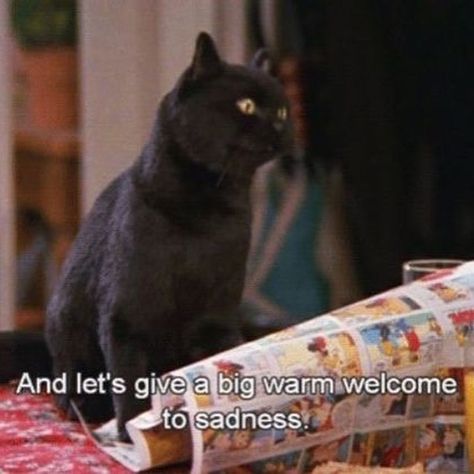 Character arc • Instagram Sabrina Cat, Sitcoms Quotes, Salem Saberhagen, Salem Cat, Sabrina Witch, Sabrina The Teenage Witch, Witch Quotes, Character Arc, Sabrina Spellman