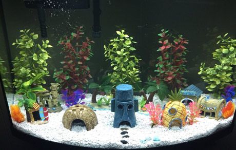 Bikini Bottom aquarium Spongebob Aquarium, Themed Aquarium, Spongebob Fish Tank, Fish Aquarium Decorations, Fish Tank Themes, Cool Fish Tanks, Fish Tank Design, Betta Tank, Nature Aquarium