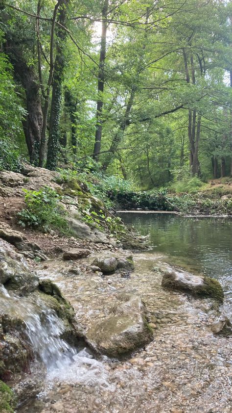 cute river in forest with little waterfall River In Forest, Fall Images, Small Lake, Pretty Landscapes, Coal Mining, Black Sea, Tourist Destinations, Nature Photography, Highlights