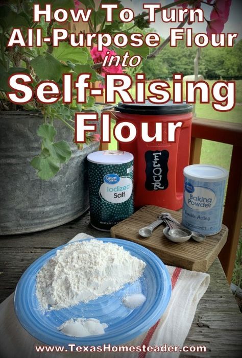 Diy Flour, Make Self Rising Flour, Homemade Dry Mixes, Diy Mixes, Ww Meals, Dough Starter, Baking Secrets, Cooking Substitutions, Dry Mixes