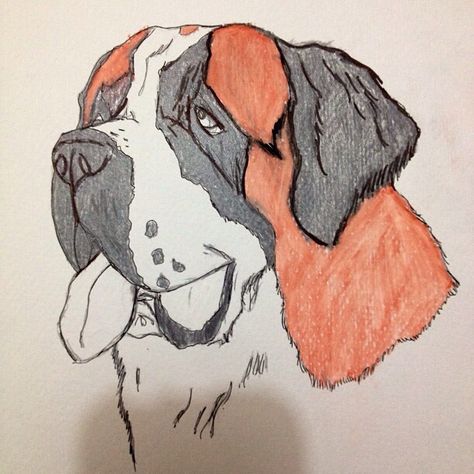 Saint bernard sketch Saint Bernard Sketch, How To Draw A Saint Bernard, Saint Bernard Painting, St Bernard Drawing, Saint Bernard Drawing, Saint Drawing, Saint Bernards, St Bernard Puppy, Easy Draw