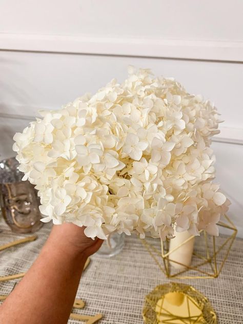 Preserved Hydrangea Premium Dried Hydrangea ON SALE | Etsy Hydrangea White, Preserved Hydrangea, Dried Hydrangeas, By Appointment Only, Boho Bouquet, White Hydrangea, Dried Flower Bouquet, Shelf Styling, How To Preserve Flowers