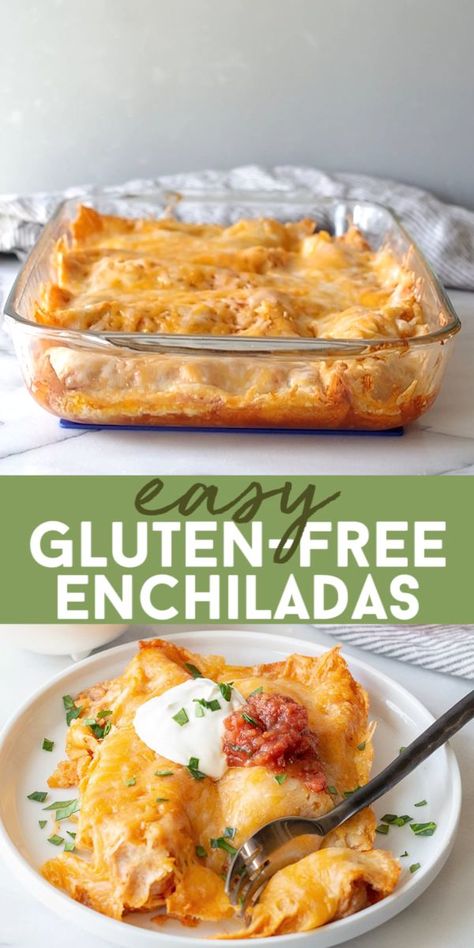 Pancakes Low Carb, Gluten Free Enchiladas, Easy Enchiladas, Cookies Gluten Free, Resep Diet, Gluten Free Living, Gluten Free Recipes For Dinner, Gluten Free Dairy Free Recipes, Enchilada Recipes