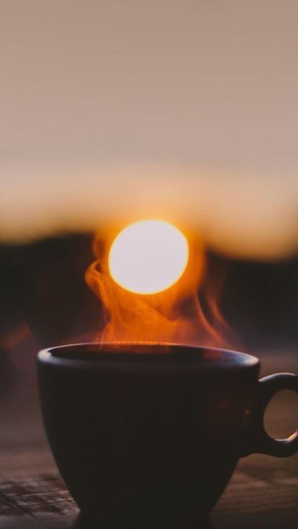 Good #Morning ! 🌙  The #Coffee is Ready! ☕️😴👍 Stil Rock, Quotes Background, Women Boss, Decaffeinated Coffee, Thankful Heart, Coffee Pictures, Coffee Photos, Coffee Photography, Good Morning Coffee