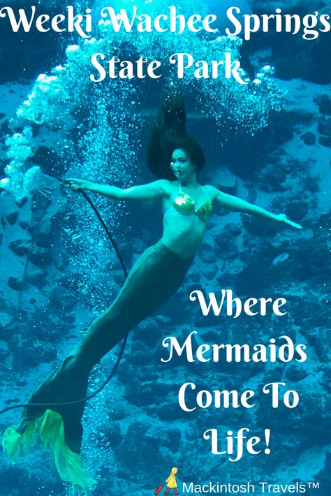 Weeki Wachee Mermaids, Mermaids Swimming, Weeki Wachee Florida, Holiday Locations, Mermaid Inspiration, Weeki Wachee, Florida Camping, Florida State Parks, Florida Life