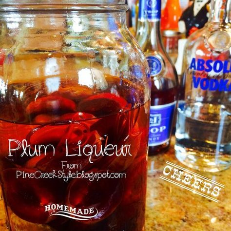 Plum Brandy, Homemade Wine Recipes, Homemade Cider, Infused Liquors, Plum Recipes, Homemade Liquor, Liquor Recipes, Gin Recipes, Liqueurs Recipes