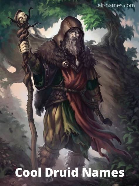 Dnd Druid, Arte Viking, Deciduous Forest, Heroic Fantasy, Character Images, Forest Path, Dungeons And Dragons Characters, Rpg Characters, Gandalf