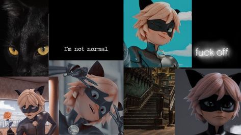 Cat Noir Laptop Wallpaper, Miraculous Ladybug Desktop Wallpaper, Miraculous Desktop Wallpaper, Cat Wallpaper Laptop Desktop Wallpapers, Laptop Wallpaper Desktop Wallpapers, Miraculous Wallpaper, Miraculous Ladybug Wallpaper, Background Art, Cat Wallpaper