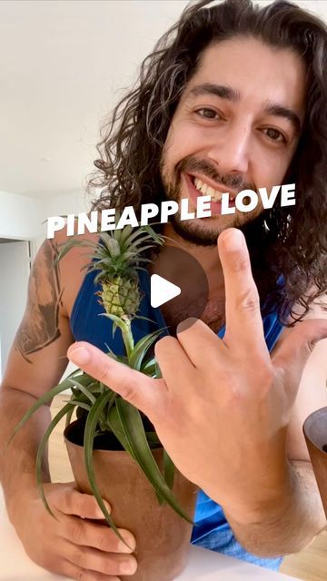 Armen Adamjan on Instagram: "Have you done this with a pineapple top yet?! 😲🍍 
I used to think pineapples grew on trees 🤣
.
.
ps: if you like my plant hacks tips and tricks, learn in more detail with my official books! 📚 Grab a copy on my website: creativeExplained.com 🤩🤟
.
.
#pineapple #hacks #tipsandtricks #lifehacks #gardening #plantbased #homeprojects #kids #learning #experiment #planttips" How To Grow A Pineapple, Plant Pineapple, Planting Hacks, Creative Explained, Growing Pineapple, Pineapple Top, My Plant, Indoor Vegetable Gardening, Plant Hacks