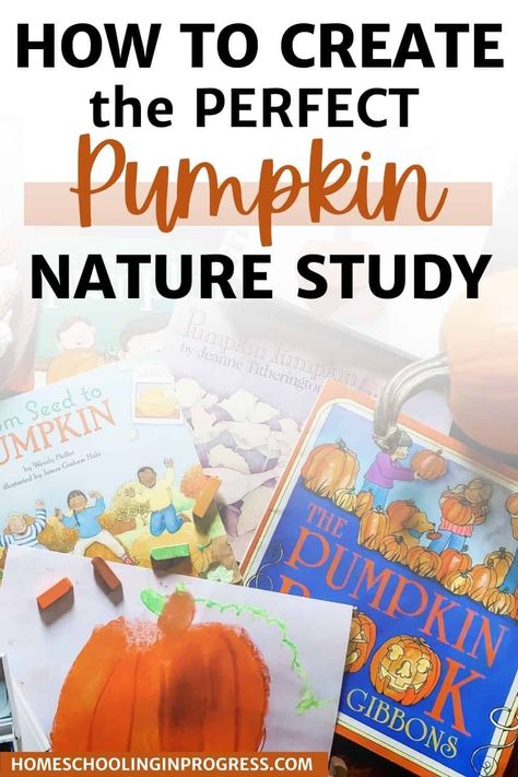 Pumpkin Study Unit, Pumpkin Lesson Plans, Nature Based Classroom, Homeschool Morning Basket, Reading Pumpkin, Pumpkin Lessons, Pumpkin Learning, Pumpkins Kindergarten, Homeschool Science Experiments