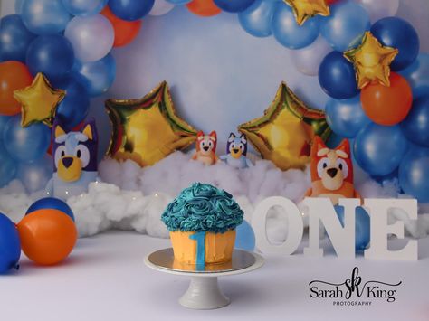 Bluey Cake Smash Photoshoot, Bluey 1st Birthday Photoshoot, Bluey Cake Smash Photography, Bluey Theme Cake Smash, Bluey Bingo Smash Cake, Bluey Photoshoot, Bluey Cake Smash, Fiesta Bluey, Cake Smash Theme