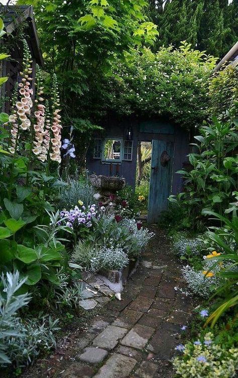 Small Cottage Garden Ideas, Lots Of Plants, Cottage Garden Design, Survival Gardening, Secret Gardens, Backyard Inspiration, The Secret Garden, Woodland Garden, Plants And Flowers