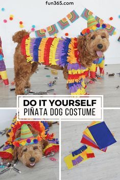 Dog Costumes Halloween Large, Cute Dog Costumes, Dog Onesies, Room Decor Crafts, Home Decor Diy Crafts, Diy Pinata, Diy Dog Costumes, Dog Clothes Diy, Pet Halloween Costumes