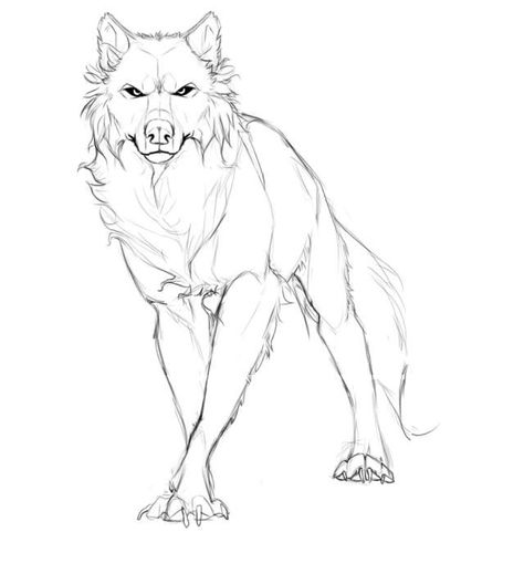 Drawing Wolf, Wolf Poses, Wolf Sketch, Wolf Tattoo Design, Werewolf Art, Canine Art, Wolf Drawing, Wolf Tattoos, A Wolf