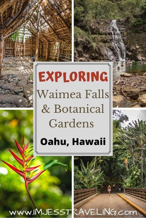 Waimea Falls, flora and old Hales on Oahu Hawaii Vacation Oahu, Waimea Falls, Hawaii Itinerary, West Coast Travel, Hawaii Pictures, Large Pool, Hawaii Travel Guide, Visit Hawaii, United States Travel