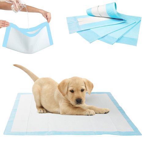 9 Pet Training Pads Heavy Dog Puppy Pee Housebreaking Underpads Floor Protection! Set of 9 Miracle Absorb Pet Training Pads are thick and ultra-absorbent. Not only are these pads great for training purposes, but also, they are also useful for extended indoor stays and even traveling. The pads are specifically designed for super absorbency that prevents leaks and odors with its thick and strong materials, allowing pets to maintain hygiene and good health. There is a plastic lining to prevent carp Pet Training Pads, Puppy Costume, Leather Dog Leash, Dog Fleece, Dog Boots, Mini Dogs, Dog Diapers, Dog Pajamas, Pet Shirts