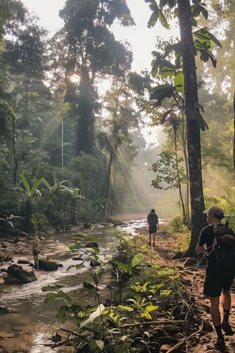 Discover the Rich Biodiversity of Borneo Rainforest 🐒✨ Explore the lush Borneo Rainforest in Malaysia, home to diverse wildlife including orangutans, pygmy elephants, and clouded leopards. Experience the wonder of this ancient forest. 🌿🌳 #BorneoRainforest #MalaysiaTravel #WildlifeExploration #NatureLovers Pygmy Elephant, Borneo Travel, Borneo Rainforest, Clouded Leopard, Malaysia Travel, Ancient Forest, Leopards, Nature Travel, Lush