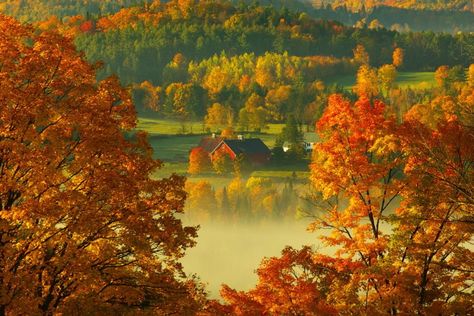 beautiful places in vermont | Peacham VT | Beautiful, Interesting, and Fun Places | Pinterest Vermont Foliage, New England Fall, Autumn Magic, Beautiful Farm, Photography Contest, Entertainment Company, Autumn Nature, Autumn Scenery, Autumn Harvest