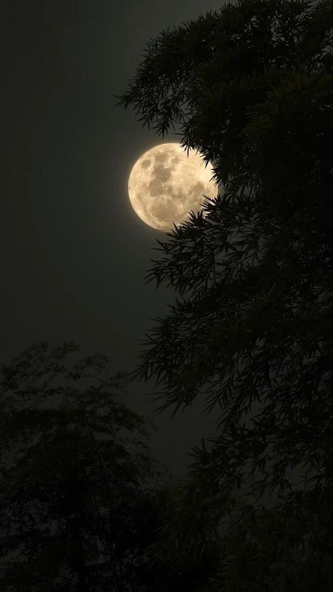 Lukisan Comel, Blue Moon Photography, Sky Photography Nature, The Moon Is Beautiful, Dark Nature Aesthetic, Moon Pictures, Night Scenery, Moon Photography, Fotografi Alam Semula Jadi