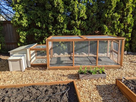 Diy Duck Run, Duck Coop And Run Ideas, Indian Runner Duck Coop, Runner Ducks Coop, Duck Runs, Duck Pen Ideas, Duck Run Ideas, Chicken And Duck Coop Combo, Diy Duck Enclosure Ideas